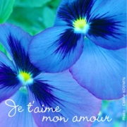 je t'aime mon amour